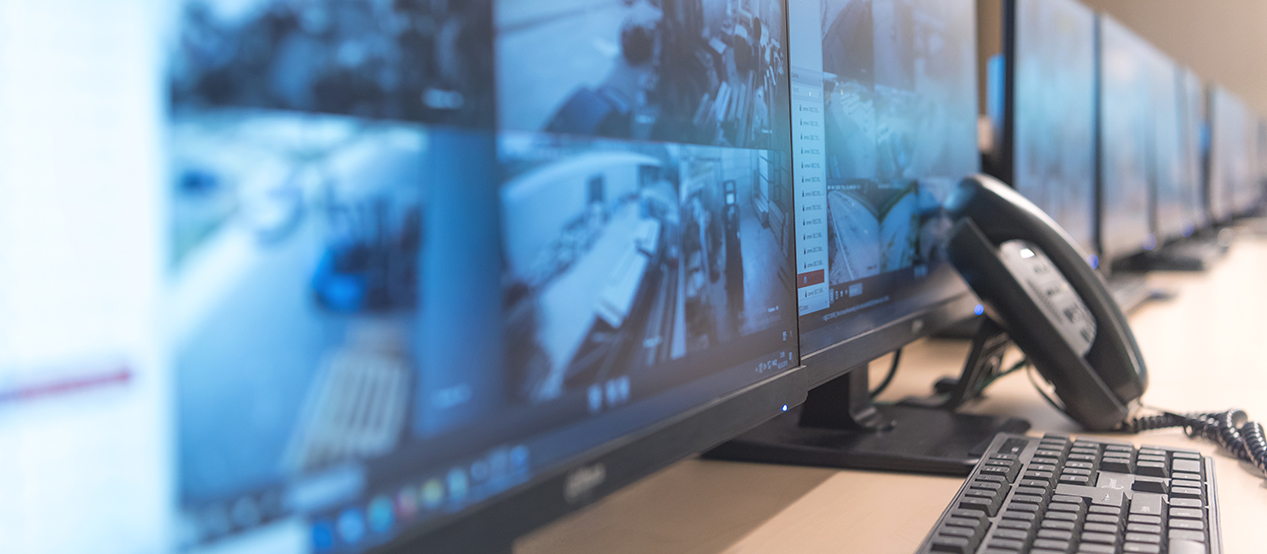 Monitoring Systems Security Solutions