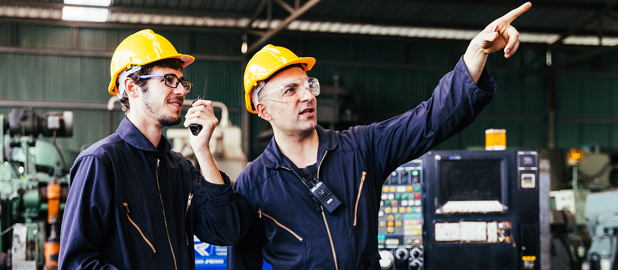 Technology Solutions Training and Implementation Services